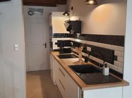 SUPERBE T3 AU COEUR DU CENTRE VILLE