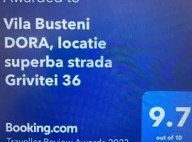 Vila Busteni DORA, locatie superba strada Grivitei 36