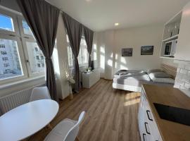 Historic Center Brno Apartment, hotel near St. Peter and Paul Cathedral, Brno