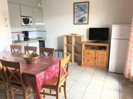 Chalet La Joue du Loup, 3 pièces, 7 personnes - FR-1-504-97