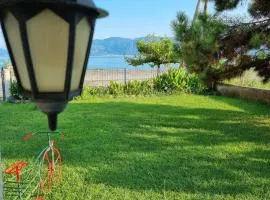 Silver Cape Raches on the sea