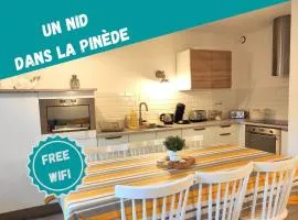 Un Nid dans la Pinède