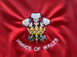 Prince Of Wales, hotel v destinaci Pembrokeshire