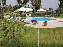 Agriturismo Su Niu