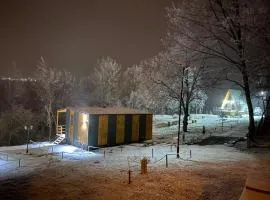 Casutele din Poienita