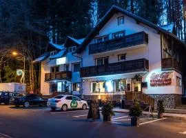 Pensiunea Ursuletul Paddington