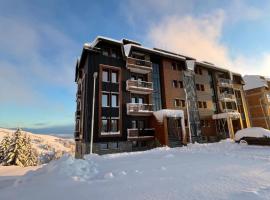 Vila Golija, ξενοδοχείο στο Κοπαόνικ