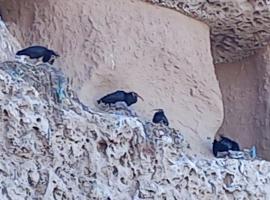 R&eacute;sidence Fanti