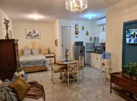 REGIA APARTMENT