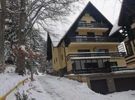 Apartament Kalinderu K1 Bușteni