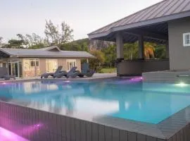 Soak'D Pineapple Villa