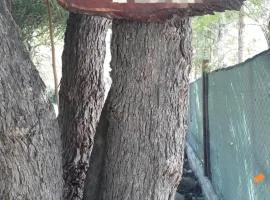EL TALAR 1