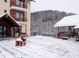 Pensiunea 7 Brazi II, hotel en Poiana Mărului