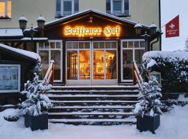 Hotel Seiffener Hof***、ザイフェンのホテル