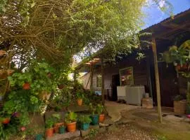 Cabaña Ararí