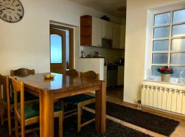 Homy apartment in city center Marijin Dvor