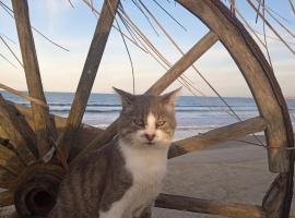 Para un poquito oasis, glamping em Barra de Valizas