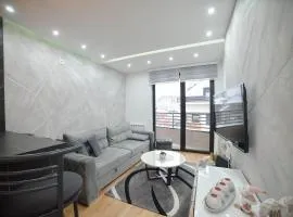 Apartman Palas16