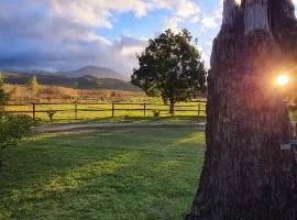 Whipstock Guest Farm
