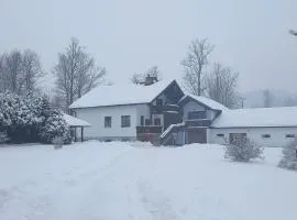 Vila Bělá pod Pradědem
