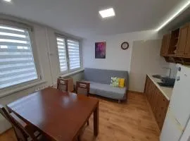 Apartament 44