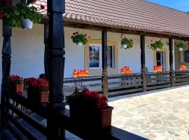 La Dory, hotel u gradu Satu Şugatag