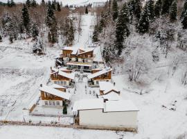 7 Cottage in Bakuriani, hotel a Bakuriani