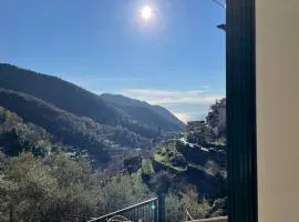 Il Gelso Bianco -The White Mulberry Tree