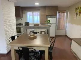 Apartamento amoblado excelente ubicación