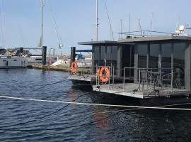 Hausboot Fjord Aquila mit Dachterrasse in Wendtorf