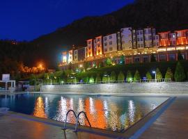 THE APPLE PALACE OTEL, hotel in Amasya