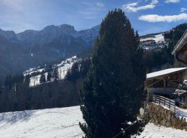 Sci Trekking Bike al Plan de Corones Kronplatz Dolomiti, atostogų būstas mieste Sorafurcia