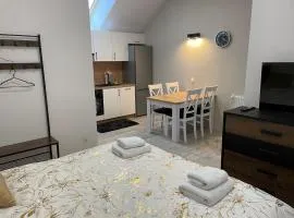 Apartament Brzóza Królewska
