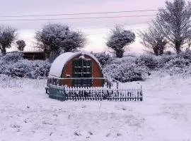 Glamping Pod in St Austell Sleeps 2 with Spa Pool