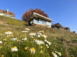 Lodge Glardons, Strandhaus in Marin