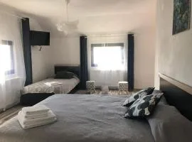 camere de închiriat livada cu meri