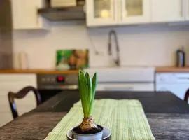 Lily-Rose Cottage
