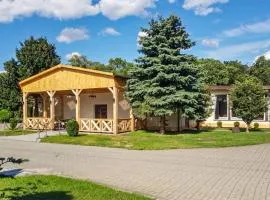 Gorgeous Home In Witnica Chojenska
