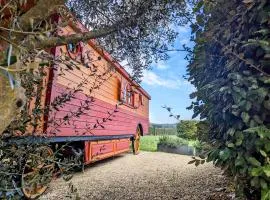 Roulotte chez Manon en Luberon、Lagnesのグランピング施設