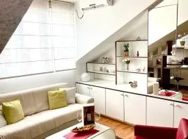 TRIANGLE CITY Apartment 1