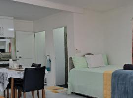 Mead Road Homestay Tours & Transfers Studio Flat 2, hotel v destinácii Suva