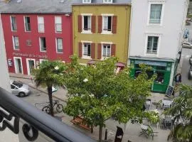 Appartement lumineux au coeur de Le Palais, 2 chambres, proche commerces et bus, idéal vacances - FR-1-418-225