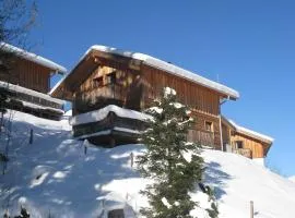 Alpenferienhaus Dachstein-West