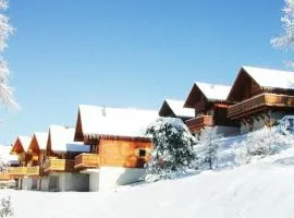 Grand chalet en bois avec vue splendide