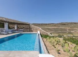 Elegant Mykonos Villa Air Private Pool 4 Bedrooms Sea View Panormos