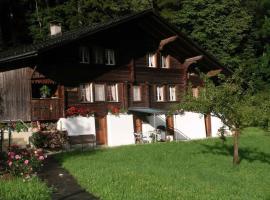 4-Bett- Ferienwohnung Brachli, hotel in Innertkirchen