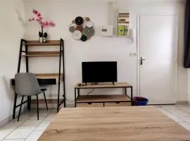 Appartement style industriel au centre de Douai