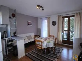 Luchon T3 balcon sud, parking, petits animaux admis - FR-1-313-220