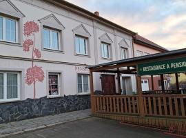 Pension PAVIR, levný hotel v destinaci Židlochovice