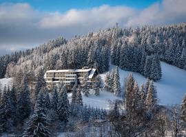 Spa hotel Lanterna, гірськолижний курорт у місті Велке Карловіце